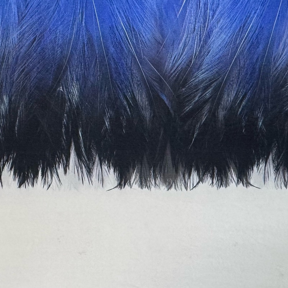 Roberto Cavalli bright blue silk Scarf - Picture 8 of 13